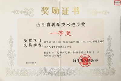 浙江省科學技術進步獎一等獎-抗電磁干擾猛鋅TS系列